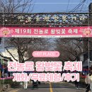 전농로의오후 | [공지] [제주] 지금 가도 될까?｜개화 상태 + 사람 분위기 + 꿀정보 정리｜2026 제주 전농로 왕벚꽃축제