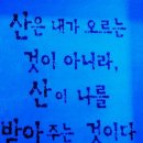 동강카센타 Daum카페