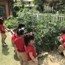 한서유치원 이미지