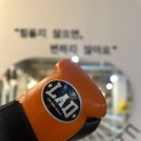 머스트윈 복싱 이미지