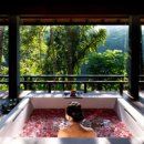 (주)퍼스트웰니스 이미지