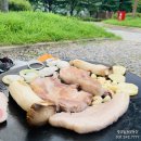 화랑유원지건너편 | 안산 화랑유원지 오토캠핑장 후기