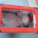 월드자동차병원 이미지