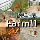 강원도 양양 카페 주말에만 여는 자연 뷰맛집 Farm11