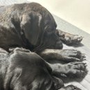 현무체육공원 이미지