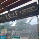 가성비 끝판왕! 맛집천국! 다양한 먹거리! 독립문 "영천시장"