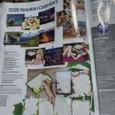 ABC마트 | 하와이 오하우 ABC마트 브로셔 활용 후기-1｜기념품 쇼핑이 훨씬 편해졌다 🌺🛍️