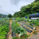 왕곡농장 이미지