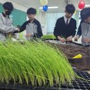 망포중학교 이미지