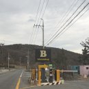 블루밍 | 포항 오션뷰 카라반 숙소 블루밍카라반 솔직후기