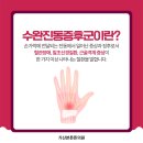 잘본정형외과의원 이미지