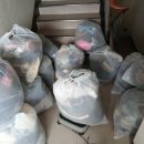 하빈남로 이미지