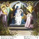 바다의별 이미지