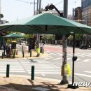 구청 앞 횡단보도 이미지