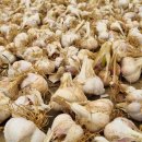 부건농장 이미지