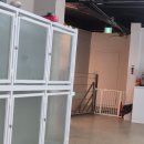 킹독 | 🐶 경기북부 실내 애견카페 추천, 킹독 다녀온 후기