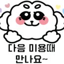 삐삐애견 이미지