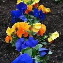 서울앤연세이비인후과의원 | 드디어 나도 갓치아 도전?! 연세 유 앤 아이치 과 의원 썰 푼다!!