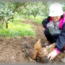 해오름농원 이미지