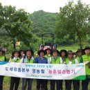 춘천농협경제사업소 이미지