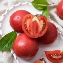 토마토 이미지