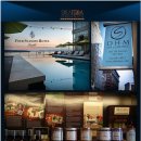 트렌드세터코리아, ‘<b>시어</b><b>앤트</b><b>러플</b>’ 공식 홈페이지 오픈