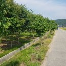 봉양농장 이미지