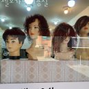 수정구 멋진 가발 찾으신다면 셀모가발미용실 / 위치 가는길 정보