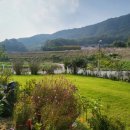 황토방전원주택수지네집 이미지