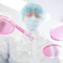 포스코홀딩스(주) 이미지