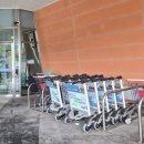 장보고전복먹이 | 전남 완도항 제주도 배편정보, 실버클라우드호 후기