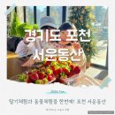 돼지동산놀이터2 | 포천딸기체험과 동물체험을 한번에 서운동산 딸기축제