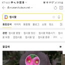 모닝온누리약국 이미지