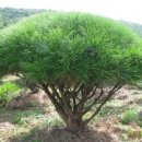 한정농장 이미지