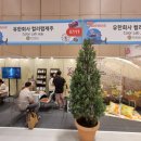 컬러랩제주