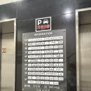 24시마음든든동물병원 | 부천 동물병원 &lt;24시 옥길아라동물의료센터&gt; 노견 믹스코기 정기건강검진 받아본 후기