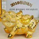 웃으면복돼지 이미지
