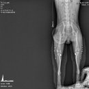 하안동물병원 이미지