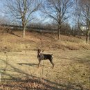 안녕, 애기 이미지