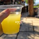 파묵깔레 | 패키지 7박 9일 스탠다드 후기 (12) 5일차 히에라폴리스와 파묵칼레 석회붕, 파묵칼레 카트투어 후기