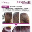 태후 사랑 이미지