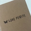 나비 한살이 | 아이랑 자연체험 자연관찰 나비 한살이 ㅣ 배추흰나비 애벌레 번데기 키우기 후기