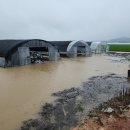 춘포면-07 이미지