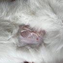 한수풀동물병원 이미지