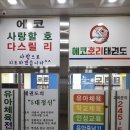 에코 호리 태권도 이미지