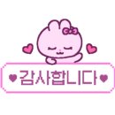 슈슈체리(shushu cherry)