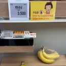 오롯신길뉴타운점