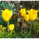 좋은생각 이미지