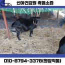 덕산건강원 - 양평군 하자포길 25 | 덕산건강원