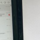 🎈도리의 일상_다이어트는 잠시 접어둡니다. 이래붐.